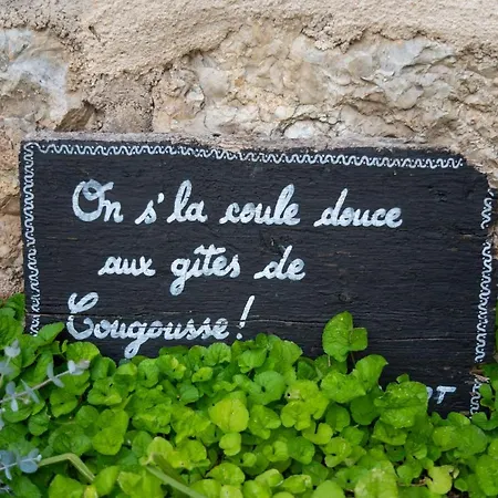 La Demeure Du Comte * Marcillac-Vallon
